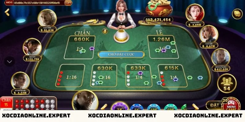 Xác định mức cược phù hợp trong xóc đĩa online
