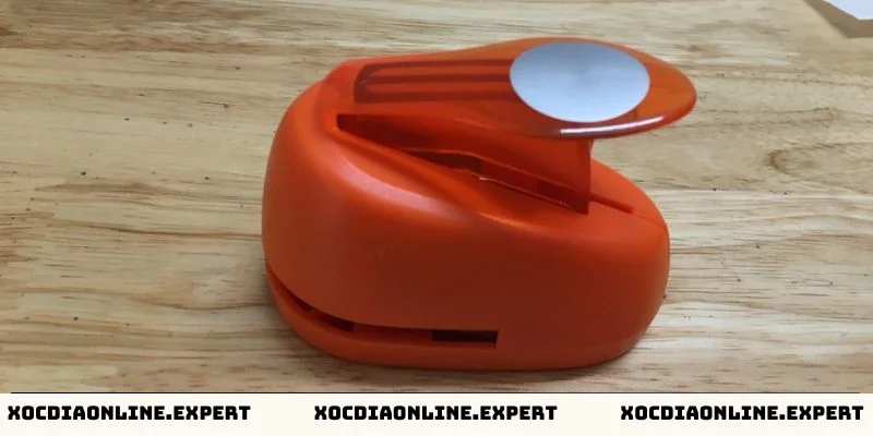Bấm vị xóc đĩa là gì?