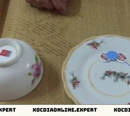 Bán Nhà Vì Chơi Xóc Đĩa Có Thật Hay Không Và Cách Khắc Phục