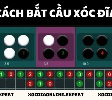 Hướng Dẫn Cách Bắt Cầu Xóc Đĩa Chuẩn 100% Từ Các Cao Thủ 