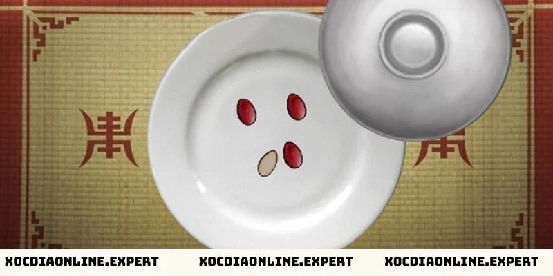 Cách dự đoán hình vị xóc đĩa chuẩn nhất