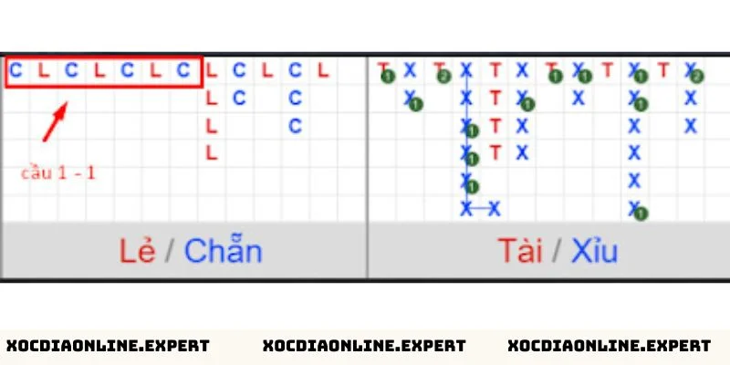 Cách nhận diện xóc đĩa bệt chính xác
