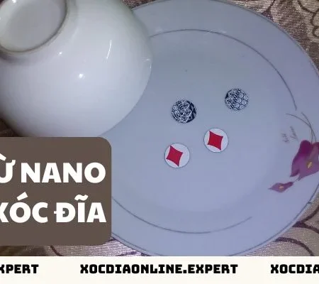 Cách Chiếu Từ Nano Trong Xóc Đĩa Chuẩn Xác Công Nghệ