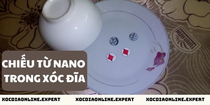 Chiếu từ Nano trong xóc đĩa là gì?