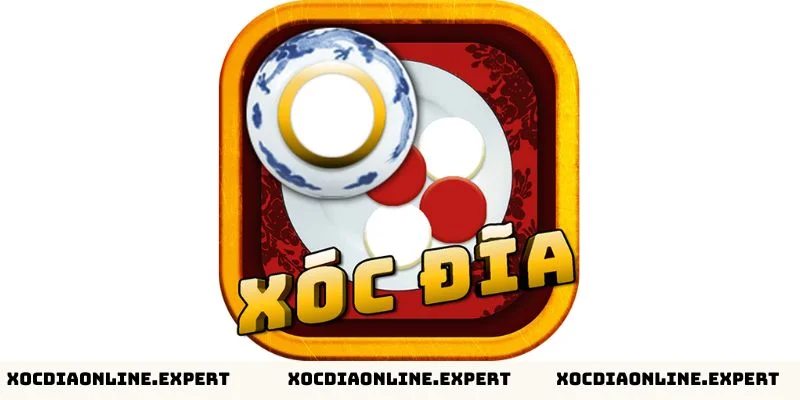 Giới thiệu chung về sảnh xóc đĩa
