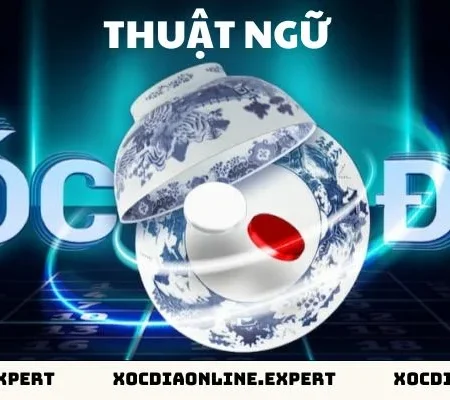Tìm Hiểu Về Thuật Toán Xóc Đĩa 3D Chi Tiết Mới Nhất