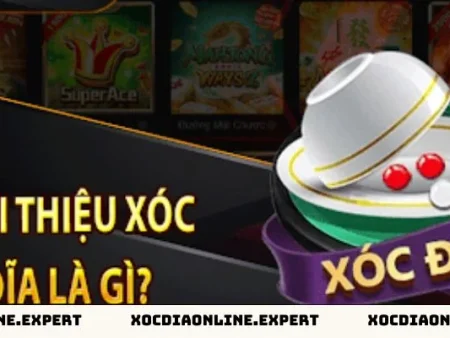 Kinh Nghiệm Chọn Cửa Xóc Đĩa Chuẩn Đét Dành Cho Tân Thủ