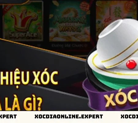 Kinh Nghiệm Chọn Cửa Xóc Đĩa Chuẩn Đét Dành Cho Tân Thủ