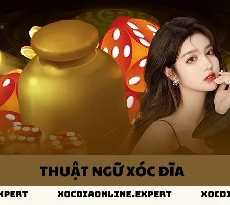 Tổng Hợp Những Thuật Ngữ Xóc Đĩa Mà Các Tân Thủ Cần Biết