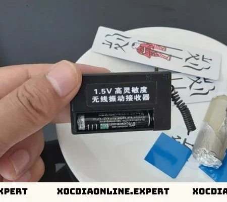 Máy Cắt Vị Xóc Đĩa Giúp Tăng Cơ Hội Chiến Thắng 