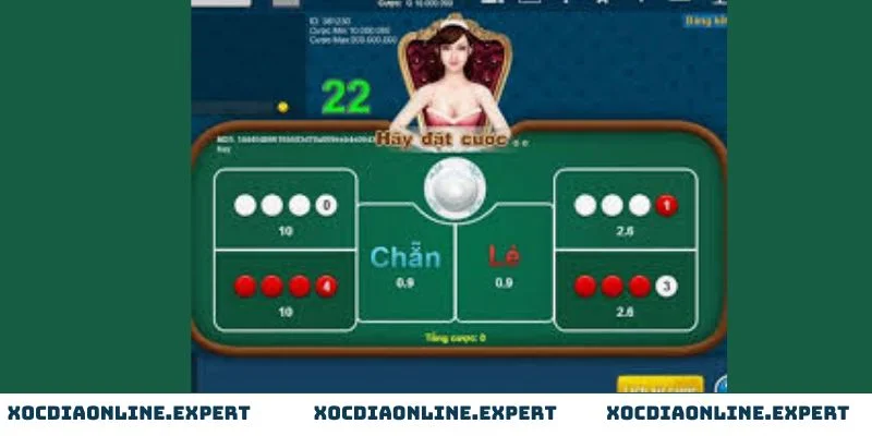 Kinh nghiệm tính xác suất xóc đĩa chính xác từ các chuyên gia