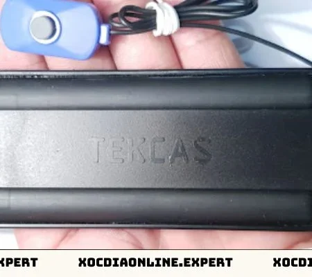 Sự thật về máy báo rung xóc đĩa tại Vip79 –  Có nên sử dụng không?