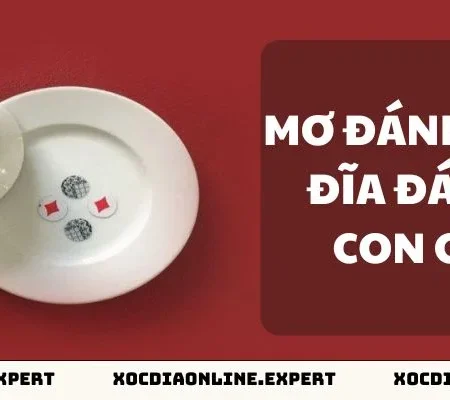 Giải Mã Giấc Mơ Đánh Xóc Đĩa Đánh Con Gì Chính Xác 