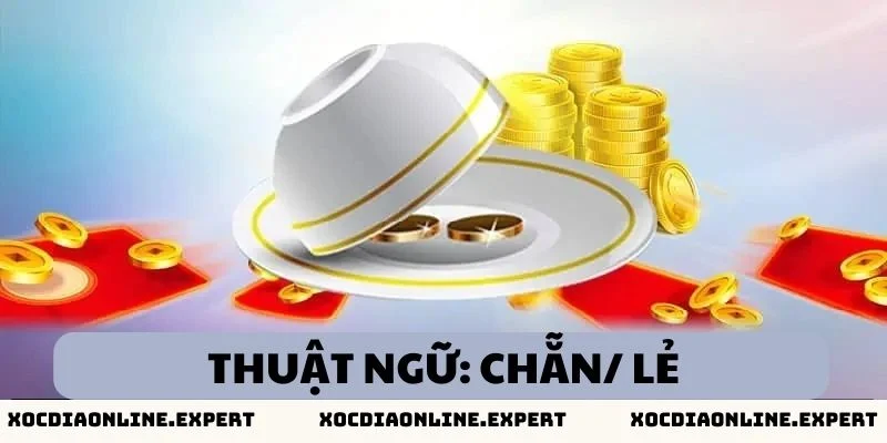 Những thuật ngữ xóc đĩa mà tân thủ cần biết - Chẵn/ lẻ