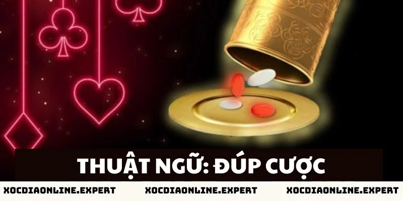 Những thuật ngữ xóc đĩa mà tân thủ cần biết - Đúp cược